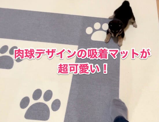 おくだけ吸着マット